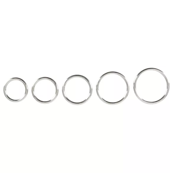 Bad Kitty - set metalnih prstenova za penis - 5 komada