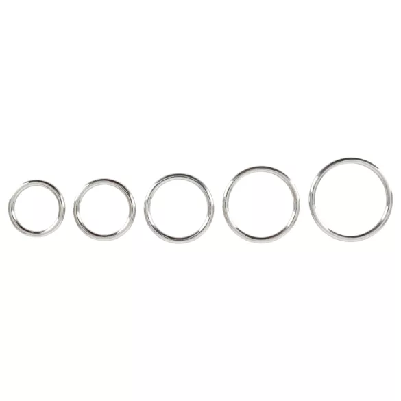 Bad Kitty - set metalnih prstenova za penis - 5 komada