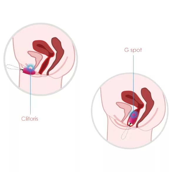 Svakom Elva - vibracijsko jaje na daljinsko upravljanje - akumulatorsko - crveno