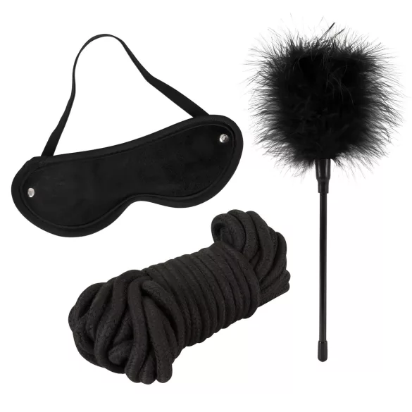 tease & please - Master & Slave - premium BDSM avanturistički set za parove (13-dijelni)