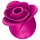 Satisfyer Pro 2 Modern Blossom - stimulator za klitoris na zračne valove - rozi