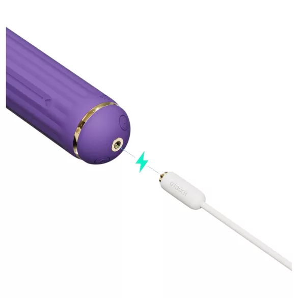 Magic Stick S1 - multifunkcionalni vibrator - ljubičasta
