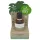 Coconutoil - Bio ulje nakon brijanja i depilacije (50ml)