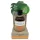 Coconutoil - prirodno ulje za sunčanje - bio - 80 ml