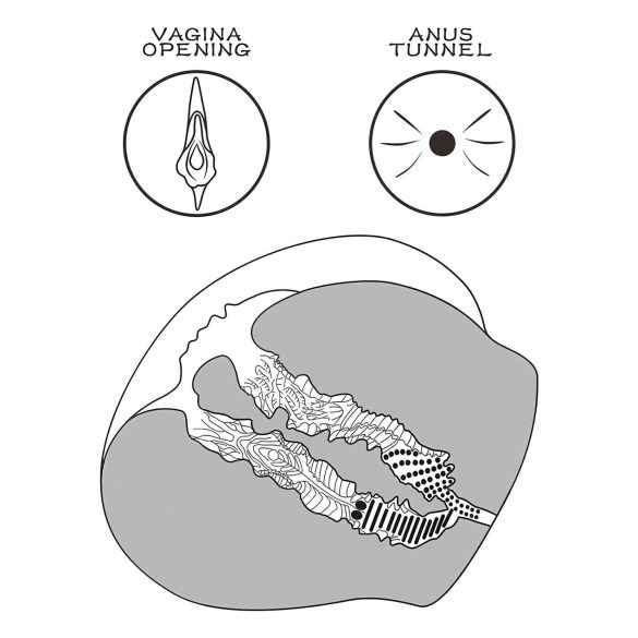 Lovetoy Streetgirl's 12 - umjetna vagina torzo i tanga - tamna prirodna boja