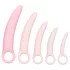CalExotics Inspire - set za vaginalno proširenje - medicinski silikon - roza