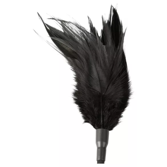 Sei Mio - bič i perje za maženje - crna