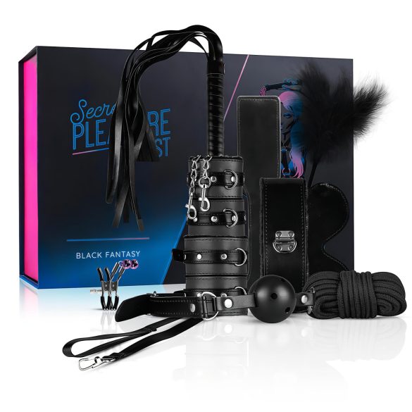 Secret Pleasure Chest - napredni BDSM set - 14 dijelova (crna)