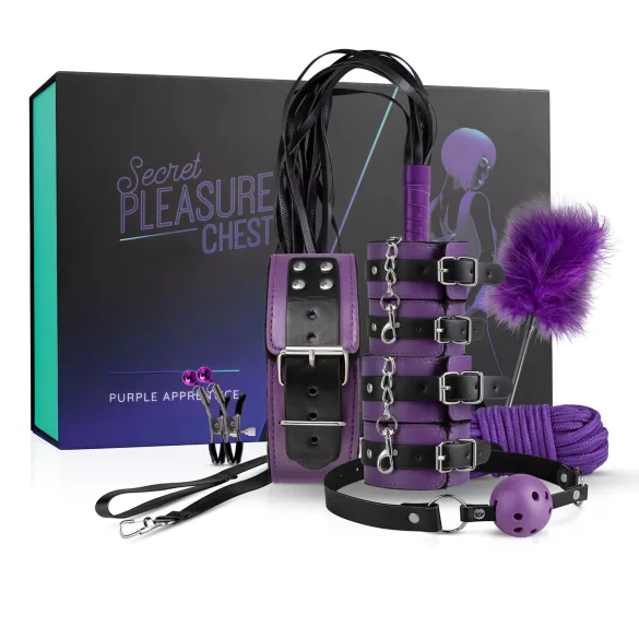 Secret Pleasure Chest - BDSM set za napredne - 14 dijelova
