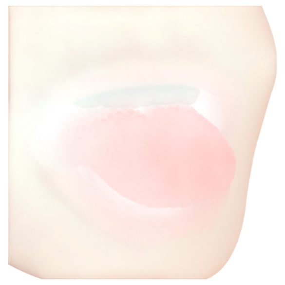 FWB - masturbator usta i vagina - realistični materijal - natur