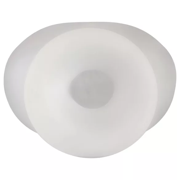 Perfect Fit - torbica za testise i rastezač - XL - prozirno